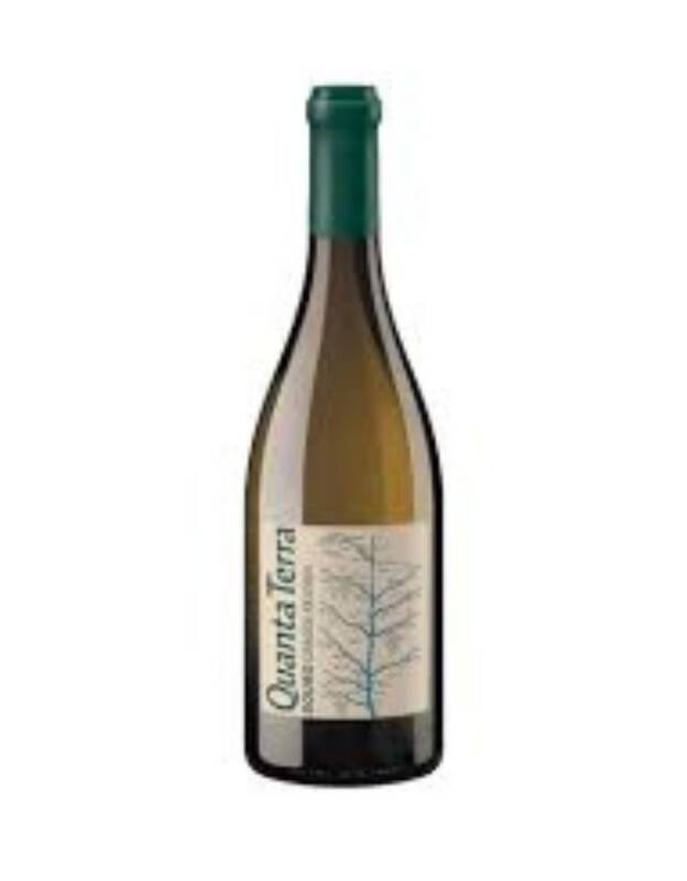 Quanta Terra Grande Reserva Branco