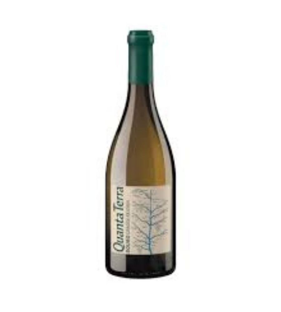 Quanta Terra Grande Reserva Branco