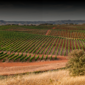 Produtos da Região do Alentejo disponíveis na loja online de vinhos EasyWine