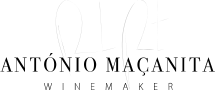 António Maçanita logo
