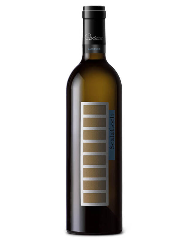 scala-coeli-alvarinho